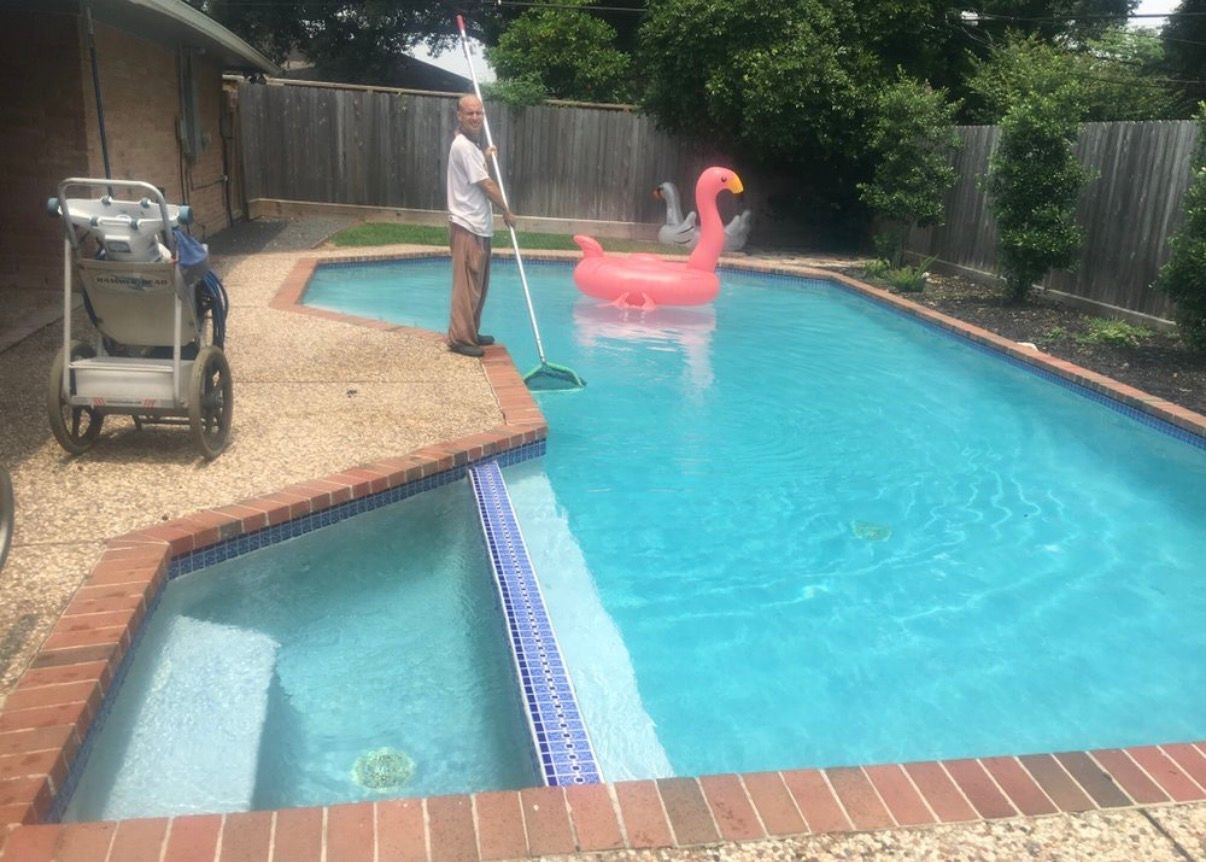 Skimming a pool in a Houston backyard